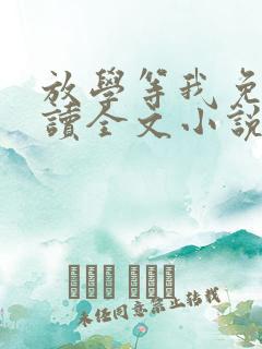 放学等我免费阅读全文小说