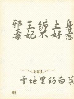 邪王缠上身神医毒妃不好惹免费