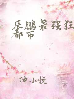 辰鹏最强狂兵混都市
