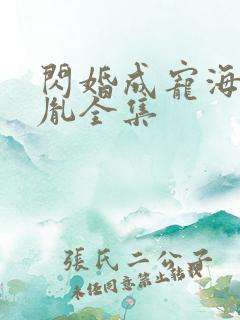 闪婚成宠海彤战胤全集