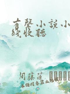 有声小说小苮儿线收听