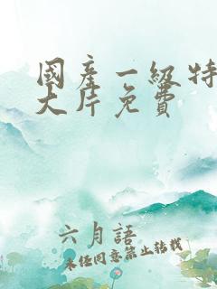 国产一级特黄a大片免费