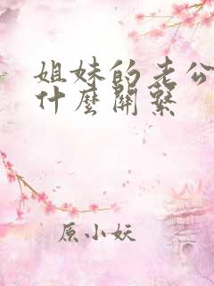 姐妹的老公们是什么关系