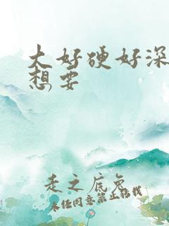 大好硬好深好爽想要
