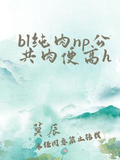 bl纯肉np公共肉便高h