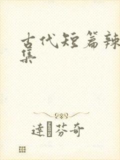 古代短篇辣文合集