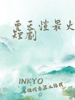 曹天恺最火十部短剧