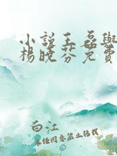 小说王磊与后妈杨晓芬免费阅读