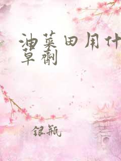 油菜田用什么除草剂