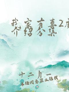 我家有喜2剧情介绍分集