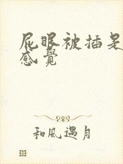屁眼被插是什么感觉