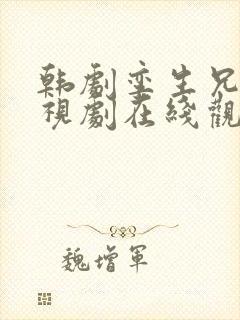 韩剧孪生兄弟电视剧在线观看免费