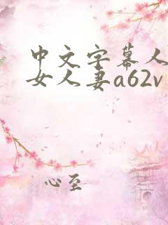 中文字幕人妻熟女人妻a62v网