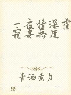 一夜情深霍先生宠妻无度