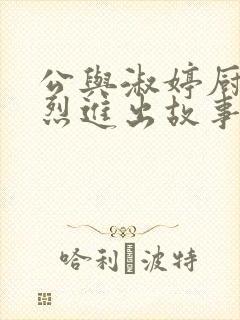 公与淑婷厨房猛烈进出故事