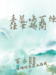 秦凤鸣百炼飞升录笔趣阁