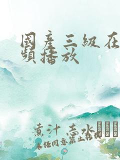 国产三级在线视频播放