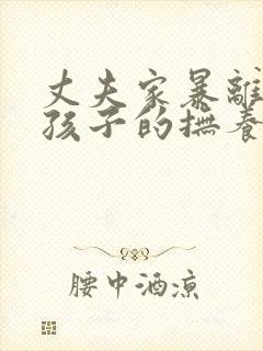 丈夫家暴离婚后孩子的抚养权归谁