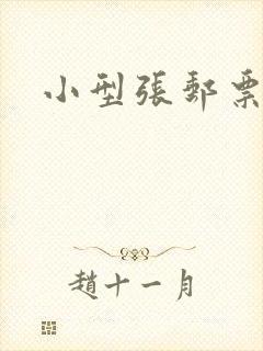 小型张邮票价格