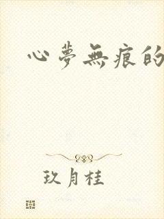 心梦无痕的小说