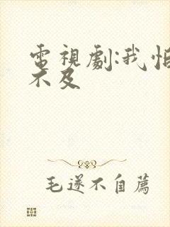 电视剧:我怕来不及