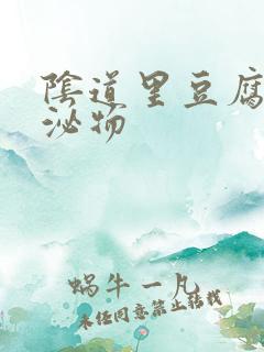 阴道里豆腐渣分泌物