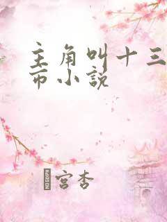 主角叫十三的都市小说