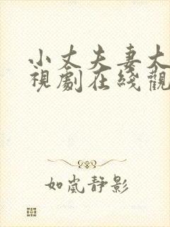 小丈夫妻大姐电视剧在线观看免费全集