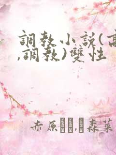 调教小说(高h,调教)双性
