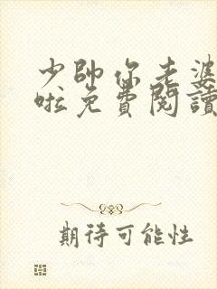 少帅你老婆又跑啦免费阅读