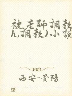 被老师调教(高h,调教)小说