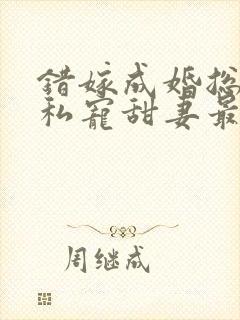 错嫁成婚总裁的私宠甜妻最新
