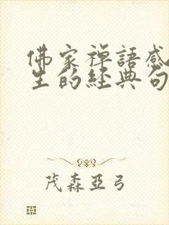 佛家禅语感悟人生的经典句子