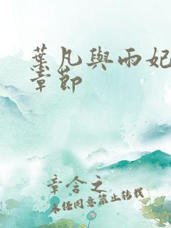 叶凡与雨妃最新章节