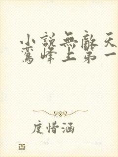 小说无敌天命青鸾峰上第一集