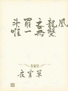 斗罗之龙凰传说唯一无双