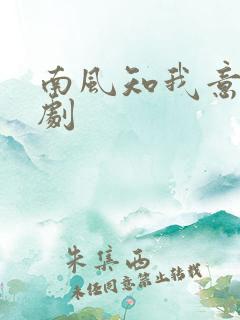 南风知我意 短剧