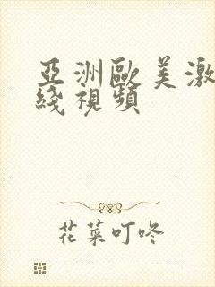 亚洲欧美激情在线视频