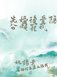 先婚后爱隐婚老公超宠我