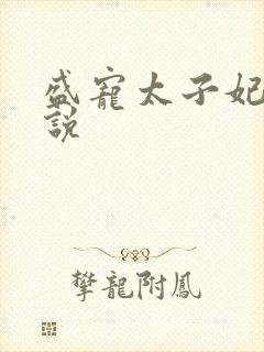 盛宠太子妃 小说