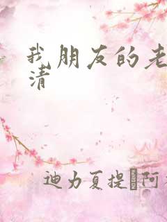 我朋友的老姐高清