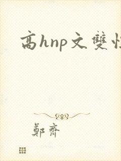 高hnp文双性