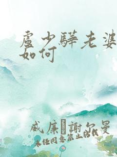卢少骅老婆结局如何