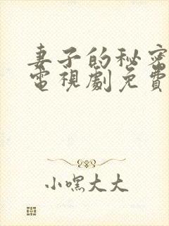 妻子的秘密韩国电视剧免费完整观看