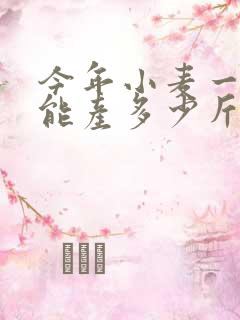 今年小麦一亩地能产多少斤