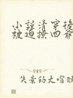 小说清穿后每天被迫撩四爷全文阅读