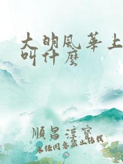 大明风华上一部叫什么