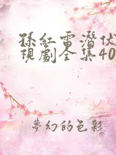 孙红雷潜伏者电视剧全集40集,免费观看