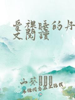 爱裸睡的丹丹全文阅读