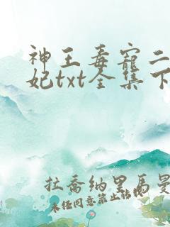神王毒宠二嫁王妃txt全集下载